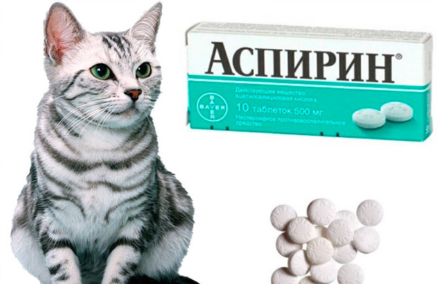 Можно ли аспирин кошке?