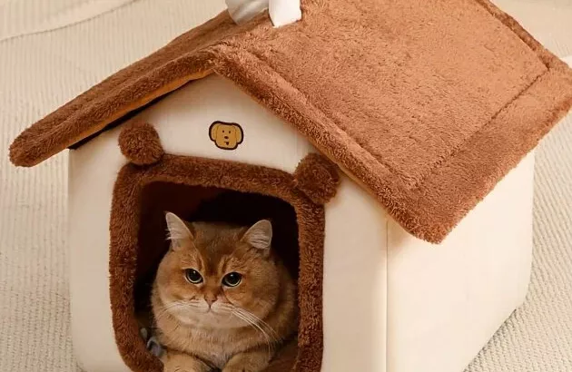 Домик и укрытие для кошки